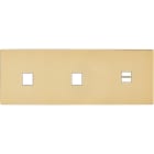 MODELEC - Façade "M" Laiton Verni Triple Horizonta 1 Media 1 Media 1 Chargeur USB magnétiq