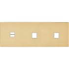 MODELEC - Façade "M" Laiton Miroir Triple Horizont 1 Chargeur USB 1 Media 1 Media magnétiq