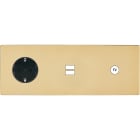MODELEC - Façade "M" Laiton Miroir Tripl Horiz 1 Schuko 1 Chargeur USB 1 Prise Tv magnétiq