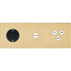 MODELEC - Façade "M" Laiton Verni Tripl Horiz 1 Schuko 1 Chargeur USB 1 Tv-Fm-Sat magnétiq