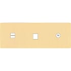 MODELEC - Façade "M" Laiton Brosse Triple Horiz 1 Chargeur USB 1 Media 1 Prise Tv magnétiq