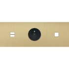 MODELEC - Façade Empreintes PLAN Laiton Sat Triple Horizontale Chargeur USB PC 1 bouton M