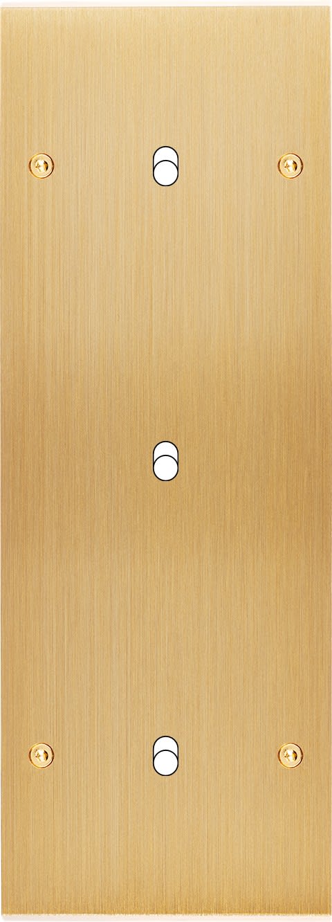 MODELEC - Façade Confidence Laiton Brosse Triple Verticale B1 B1 B1 à Vis