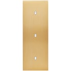 MODELEC - Façade Confidence Laiton Brosse Triple Verticale B1 B1 B1