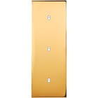 MODELEC - Façade Confidence Laiton Or Miroir Triple Verticale B1 B1 B1