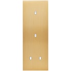 MODELEC - Façade Confidence Laiton Brosse Triple Verticale B1 B1 B2