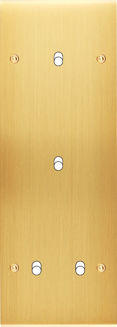 MODELEC - Façade Confidence Laiton Satine Triple Verticale B1 B1 B2 à Vis