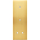 MODELEC - Façade Confidence Laiton Sat Triple Verticale B1 B1 B2