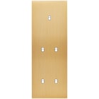 MODELEC - Façade Confidence Laiton Brosse Triple Verticale B1 B2 B2