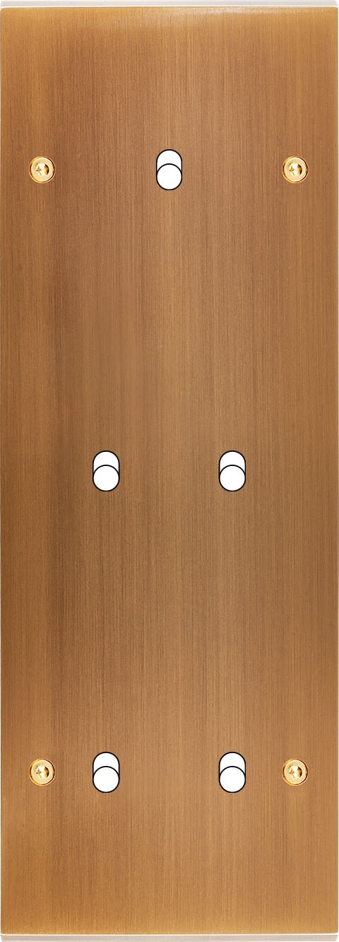 MODELEC - Façade Confidence Laiton Vieux Bronze Triple Verticale B1 B2 B2 à Vis