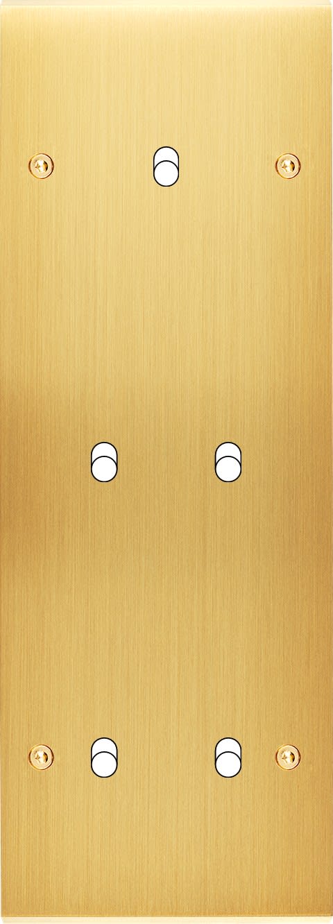 MODELEC - Façade Confidence Laiton Satine Triple Verticale B1 B2 B2 à Vis