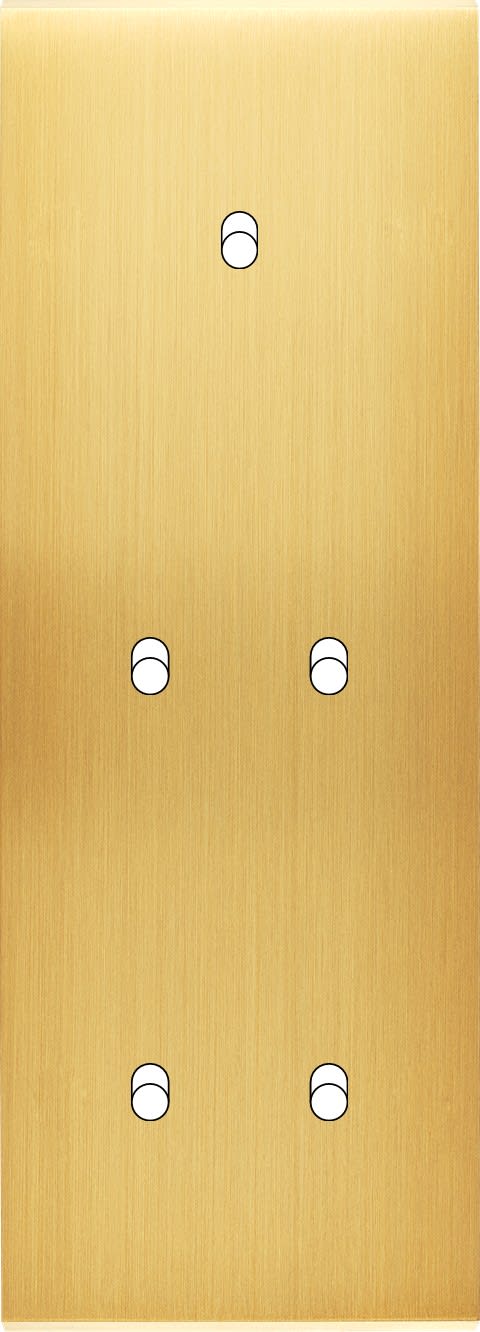 MODELEC - Façade Confidence Laiton Sat Triple Verticale B1 B2 B2