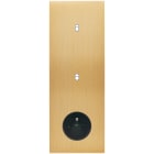MODELEC - Façade Confidence Laiton Brosse Triple Verticale 1 Basculeur 1 Basculeur PC