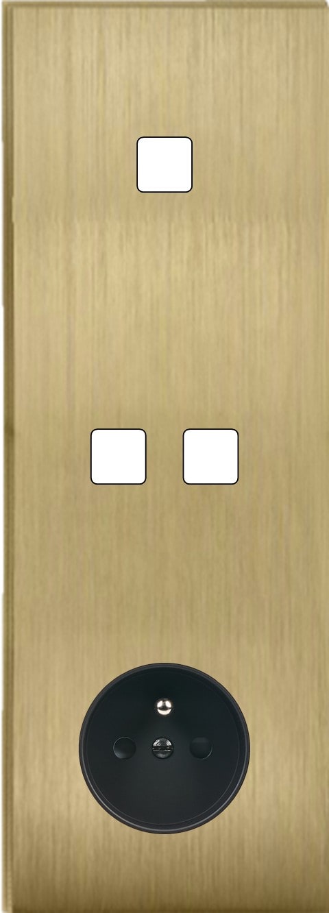 MODELEC - Façade Empreintes ANGLE Laiton Satiné Triple Verticale 1 bouton 2 boutons PC M