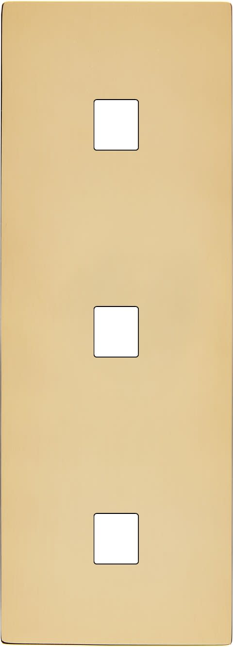 MODELEC - Façade "M" Laiton Miroir Triple Verticale 1 Media 1 Media 1 Media magnétique