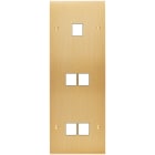 MODELEC - Façade Confidence Laiton Brosse Triple Verticale M1 M2 M2 à Vis