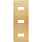 MODELEC - Façade Confidence Laiton Brosse Triple Verticale M2 M2 M2 à Vis