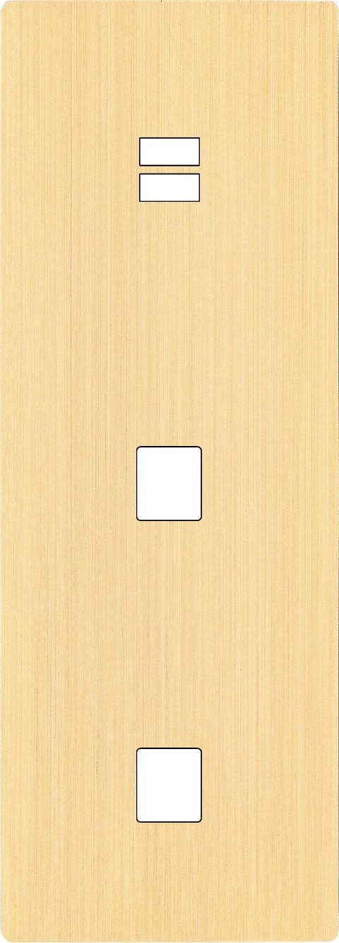 MODELEC - Façade "M" Laiton Brosse Triple Vertical 1 Chargeur USB 1 Media 1 Media magnétiq