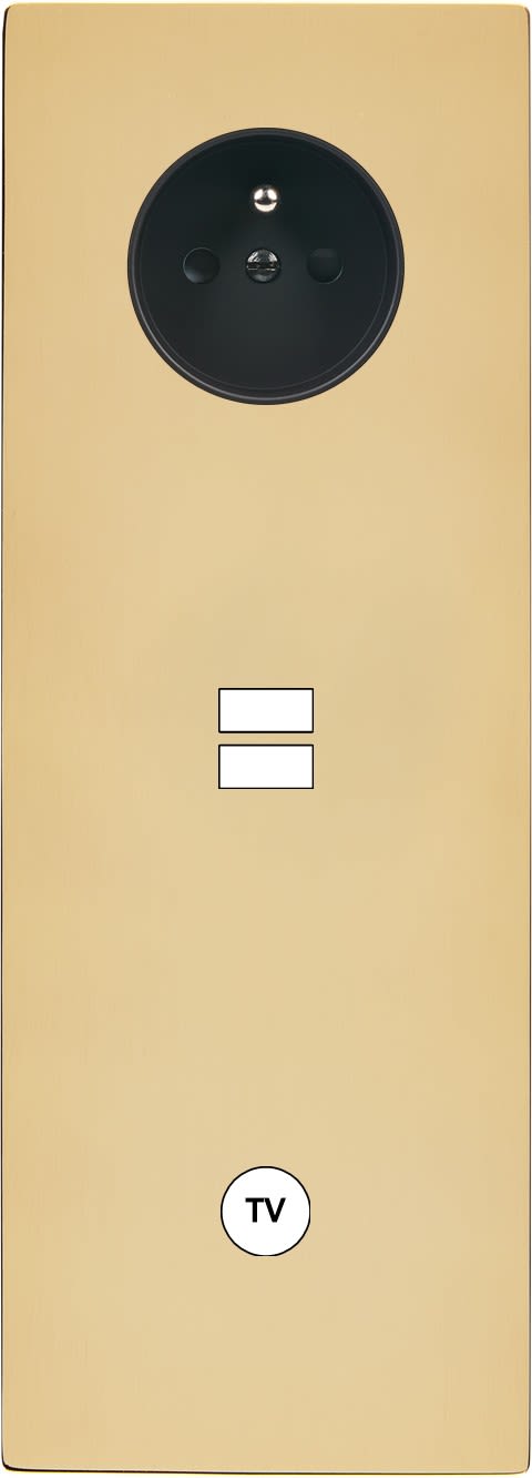 MODELEC - Façade "M" Laiton Miroir Triple Verti 1 Prise 1 Chargeur USB 1 Prise Tv magnétiq