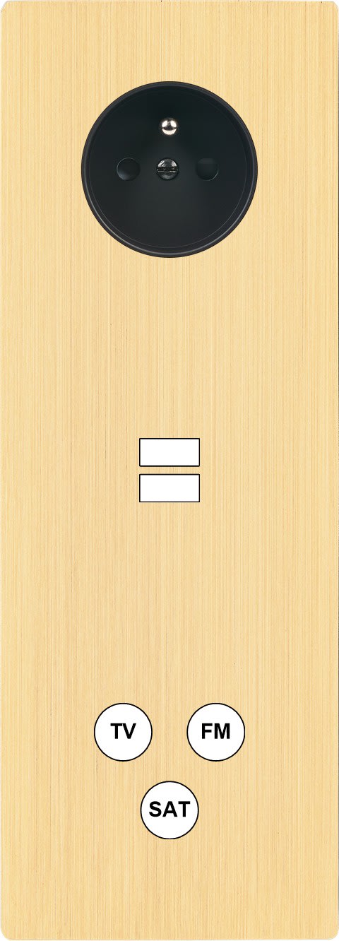 MODELEC - Façade "M" Laiton Brosse Triple Vert 1 Prise 1 Chargeur USB 1 Tv-Fm-Sat magnétiq