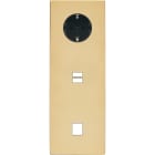 MODELEC - Façade "M" Laiton Verni Trip Vert 1 Prise Schuko 1 Chargeur USB 1 Media magnétiq