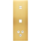 MODELEC - Façade Confidence Laiton Satine Triple Verticale U1 M1 C3