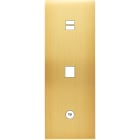 MODELEC - Façade Confidence Laiton Satine Triple Verticale U1 M1 C1