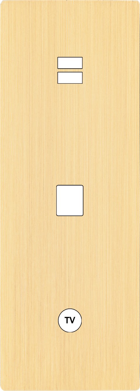 MODELEC - Façade "M" Laiton Brosse Triple Verti 1 Chargeur USB 1 Media 1 Prise Tv magnétiq