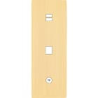 MODELEC - Façade "M" Laiton Brosse Triple Verti 1 Chargeur USB 1 Media 1 Prise Tv magnétiq