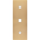 MODELEC - Façade "M" Laiton Sable Triple Vertic 1 Chargeur USB 1 Media 1 Prise Tv magnétiq