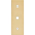 MODELEC - Façade "M" Laiton Miroir Triple Verti 1 Chargeur USB 1 Media 1 Prise Tv magnétiq