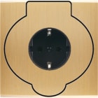 MODELEC - Façade Confidence Laiton Brosse Simple Prise Sol Pck