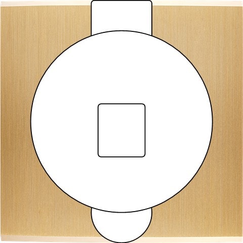 MODELEC - Façade Confidence Laiton Brosse Simple Prise Sol M1-U1