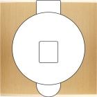 MODELEC - Façade Confidence Laiton Brosse Simple Prise Sol M1-U1