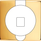 MODELEC - Façade Confidence Laiton Or Miroir Simple Prise Sol M1-U1