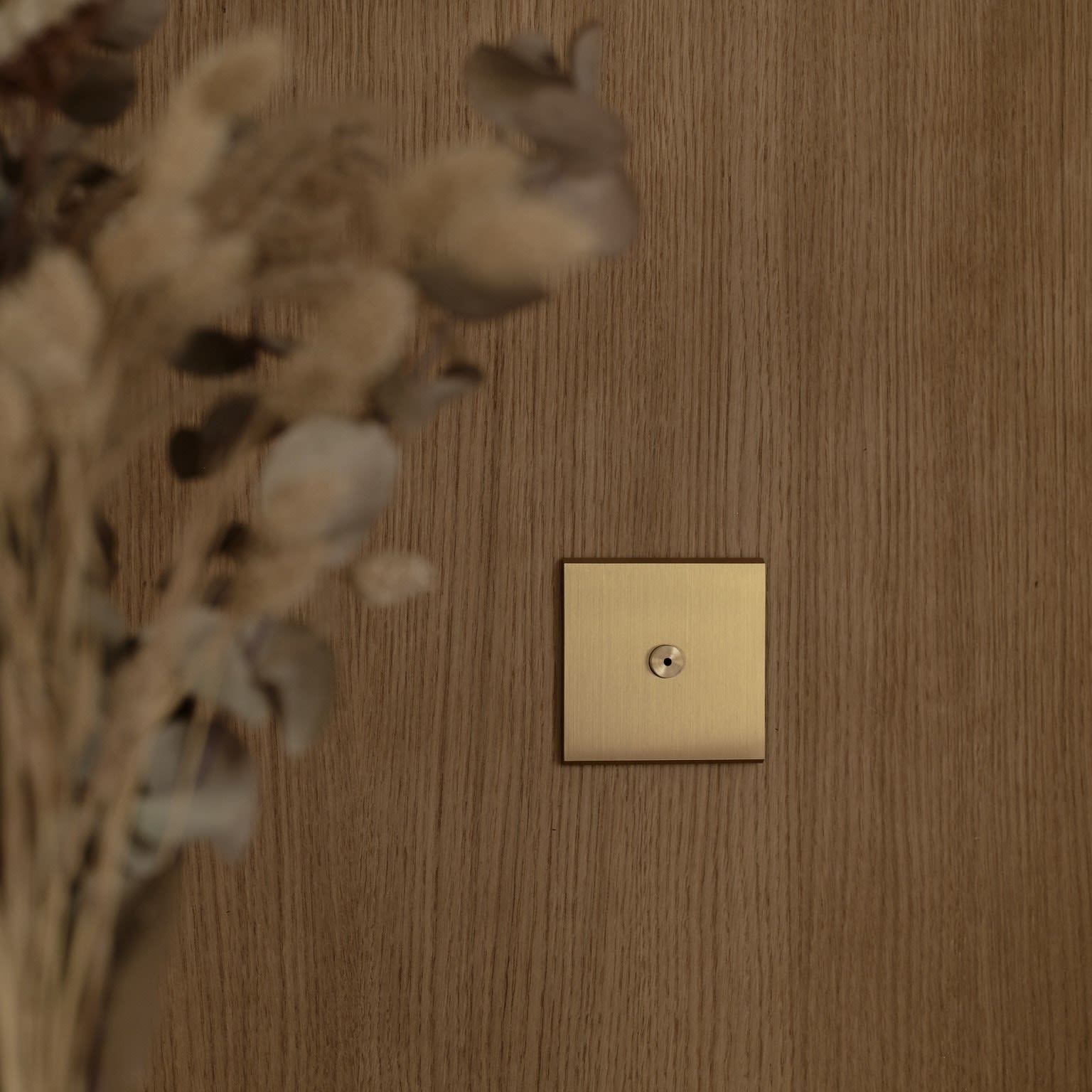 MODELEC - Façade Confidence Laiton Satiné simple pour 1 bouton damier rond, magn