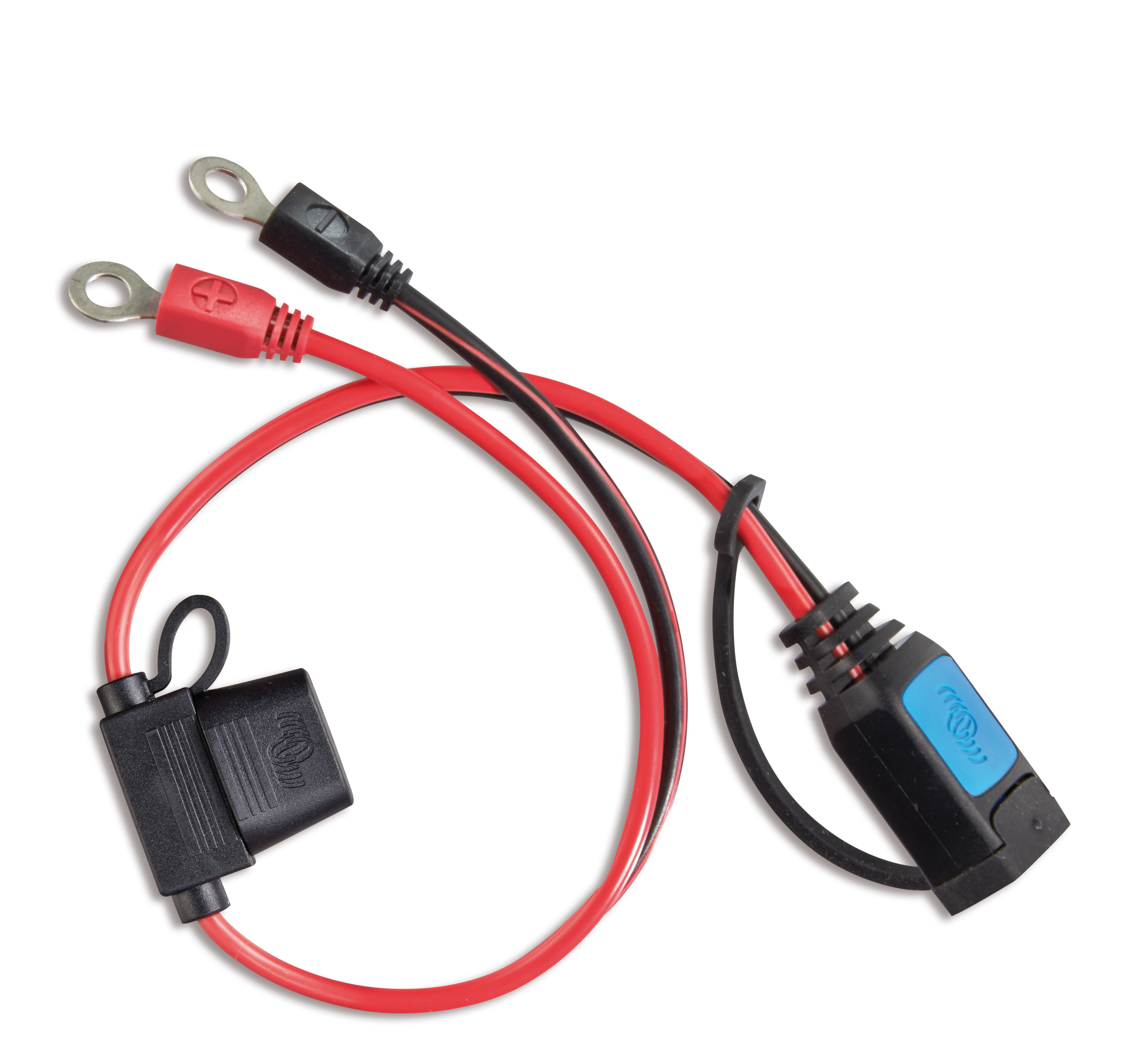 Madenr - Connecteur M6 eyelet (avec 30A ATO fuse)