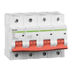 Madenr - Disjoncteur 3 pôles + Neutre Ex9B125 80 A courbe C 20 kA