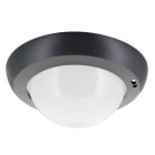 BEG - Lentille 360° couloir pour PD4N faux plafond anthracite mat RAL7016