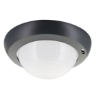 BEG - Lentille couloir pour PD4N faux plafond anthracite mat RAL7016
