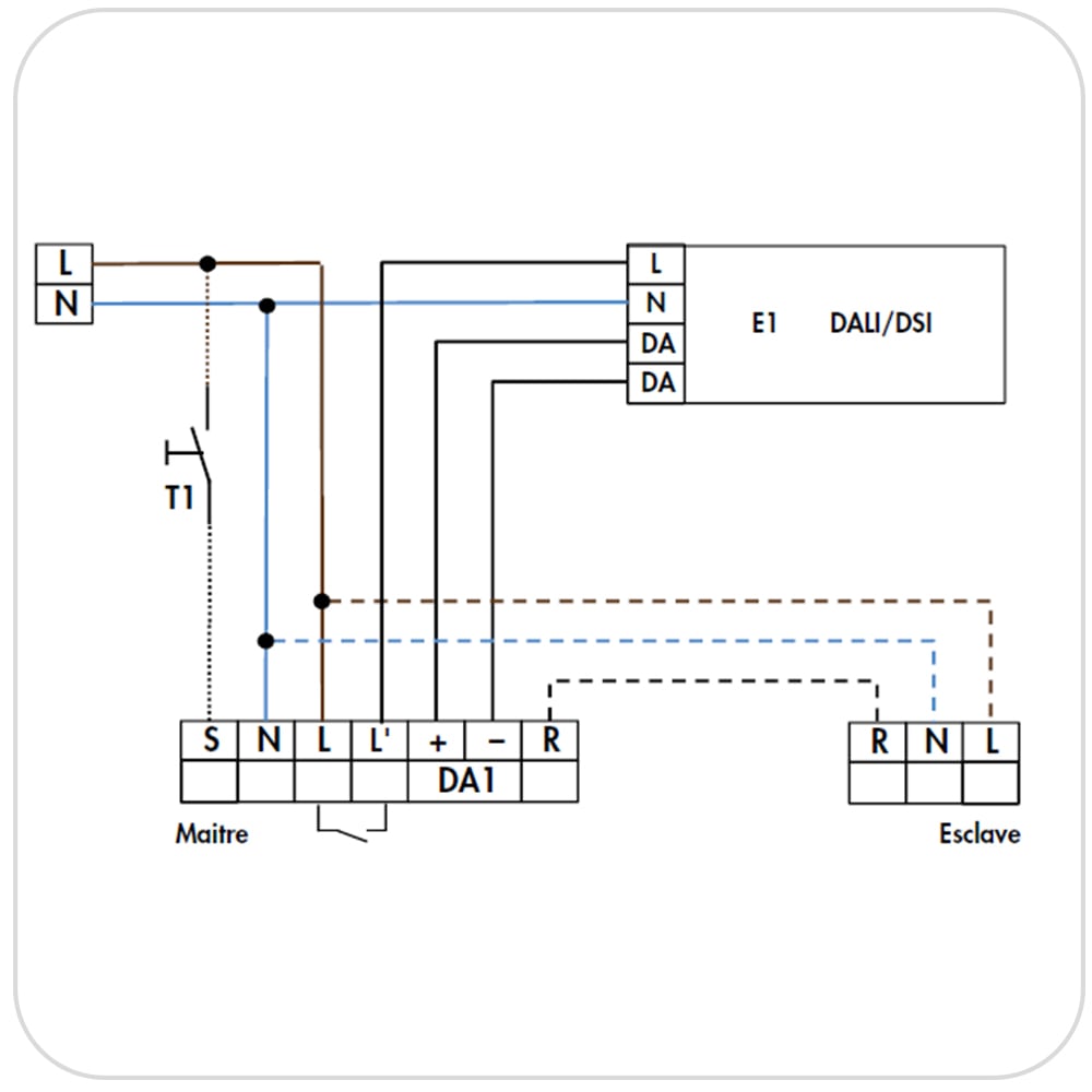 Schema Cablage Dali Avec Bouton Poussoir PD2-M-DALI-DSI-1C-FP detecteur de presence DALI + 1 phase BEG