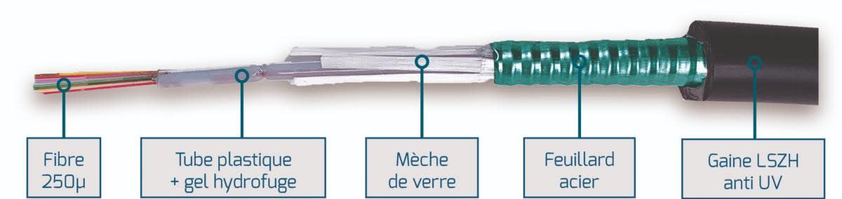 Uniformatic - FIBRE OM3 6 FO EXT. LSZH STRUCTURE LIBRE 250µ ANTI RONGEUR ARMÉE ACIER