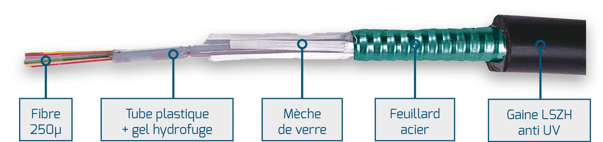 Uniformatic - FIBRE OM4 12 FO EXT. LSZH STRUCTURE LIBRE 250µ ANTI RONGEUR ARMÉE ACIER