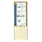 Seifel - Borne REM EP 300 vide pour recevoir le tableau comptage + commande