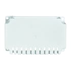 Seifel - Cornet d'épanouissement court pour distributeur (L 140mm)