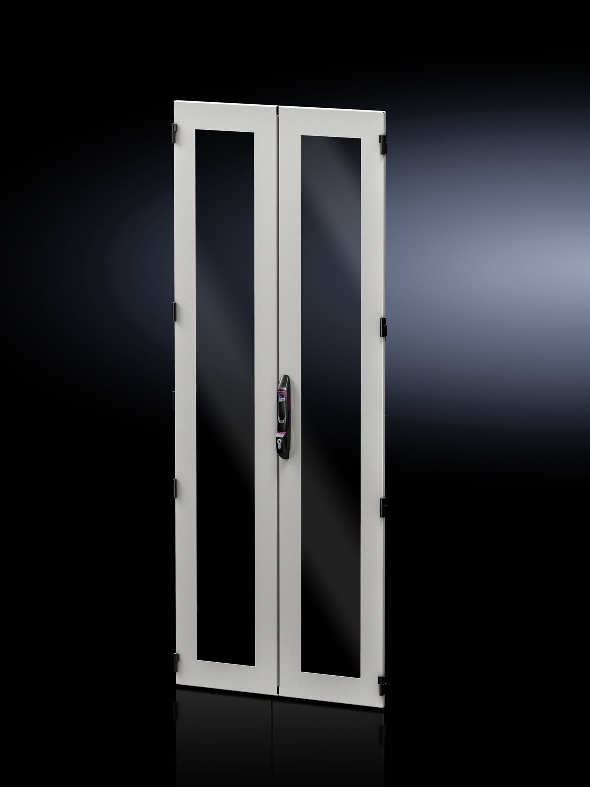 Rittal - Porte vitrée en tôle d'acier à séparation verticale - VX IT - L800 H2000mm