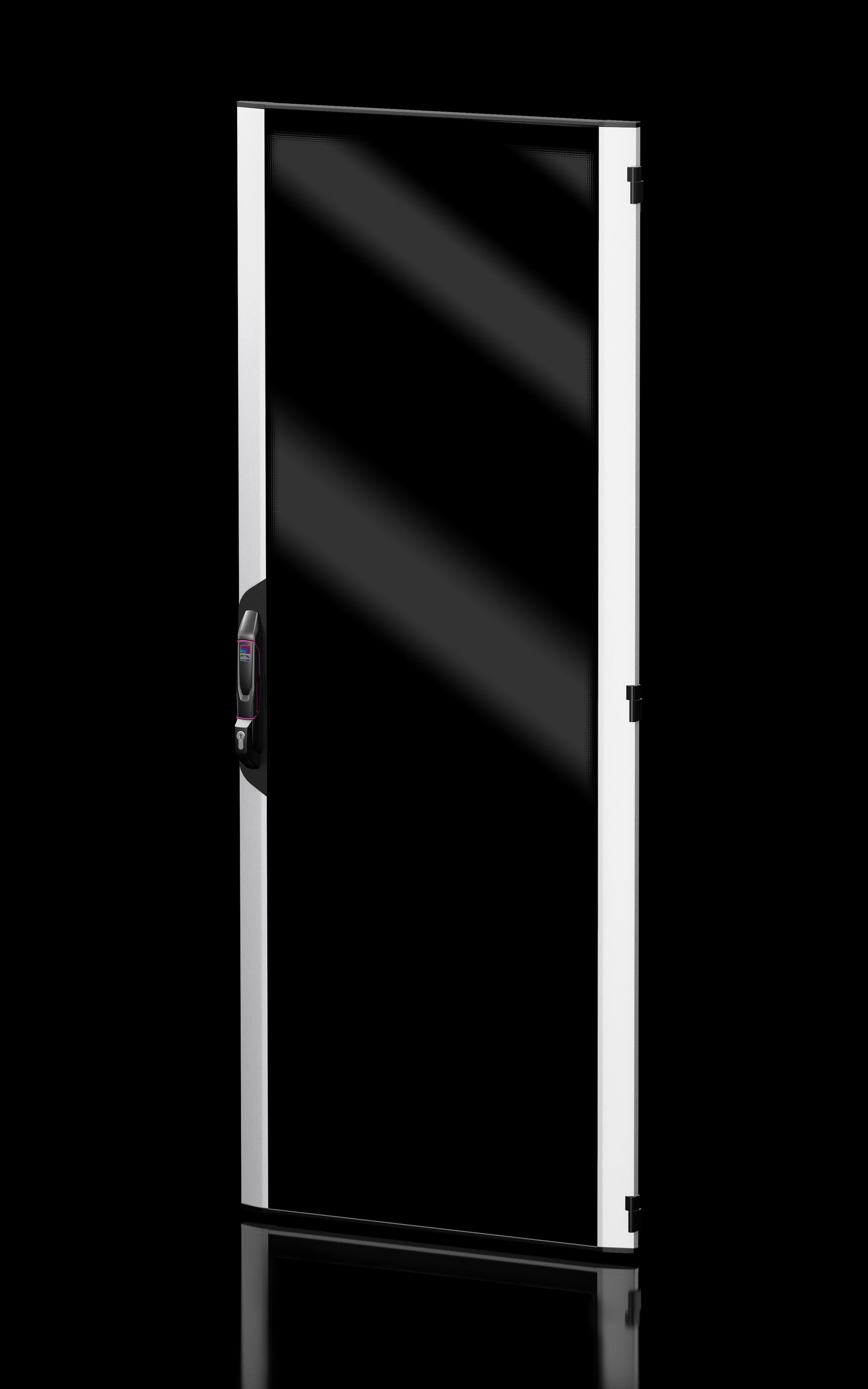 Rittal - Porte vitrée en tôle d'acier à séparation verticale - VX IT - L800 H2000mm