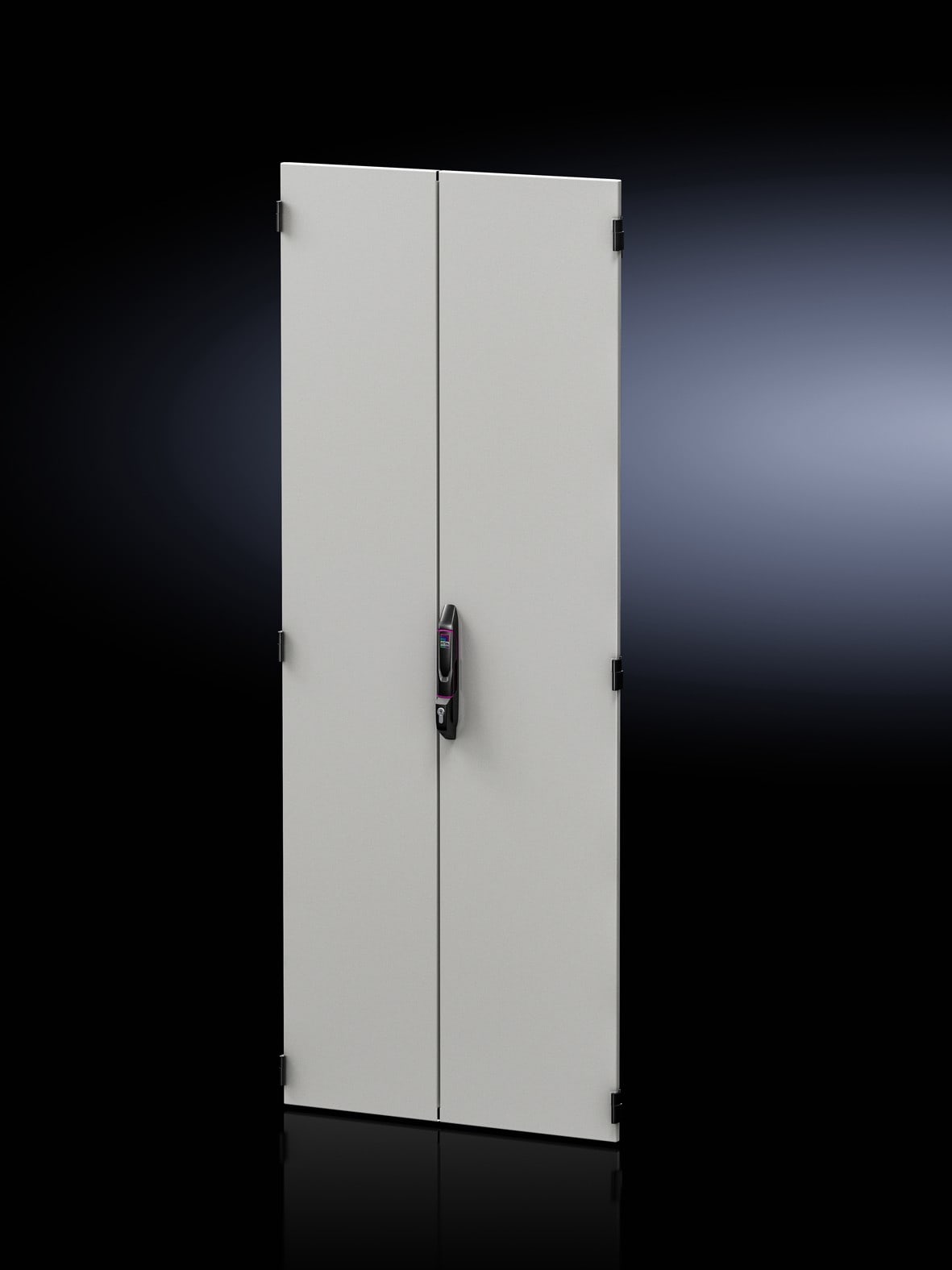 Rittal - Porte en tôle d'acier pleine à séparation verticale - VX IT - L800 H2000mm