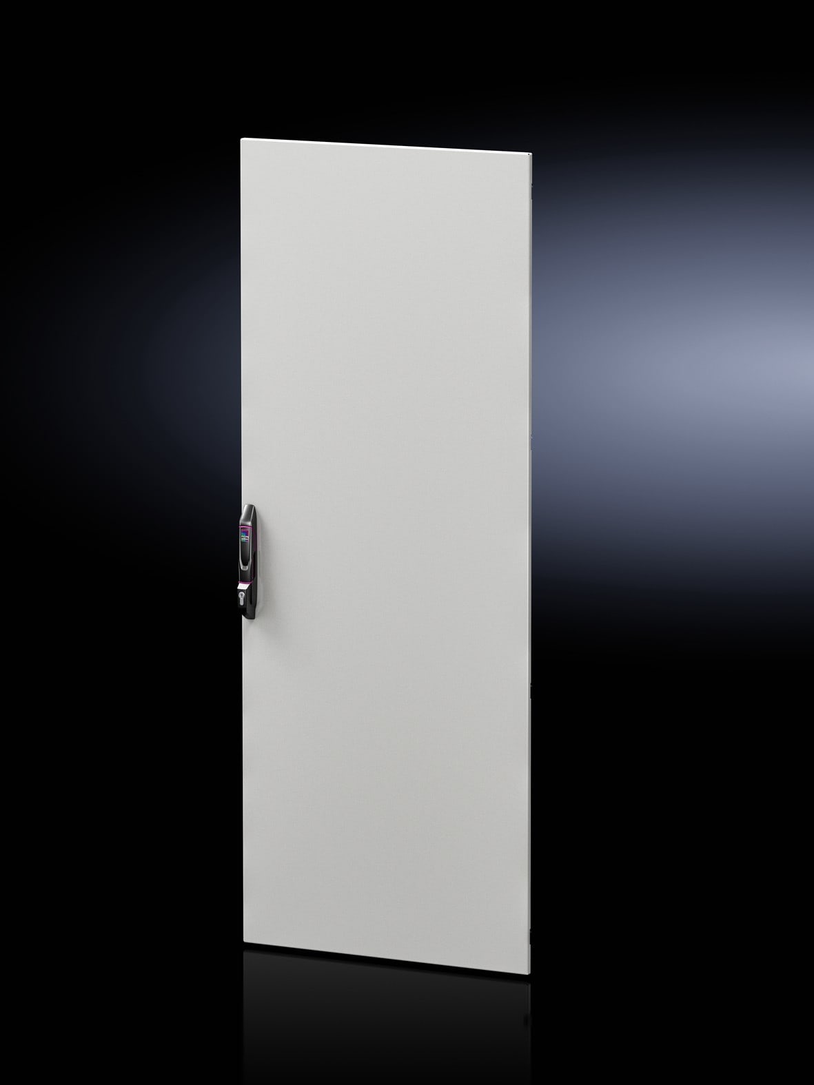 Rittal - Porte en tôle d'acier monobloc pleine - VX IT -  L800 H2000mm RAL 7035 - IP55