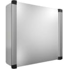 Rittal - Coffret de commande -AX - acier - L600 H600 P210 - maintenance par arrière- IP55